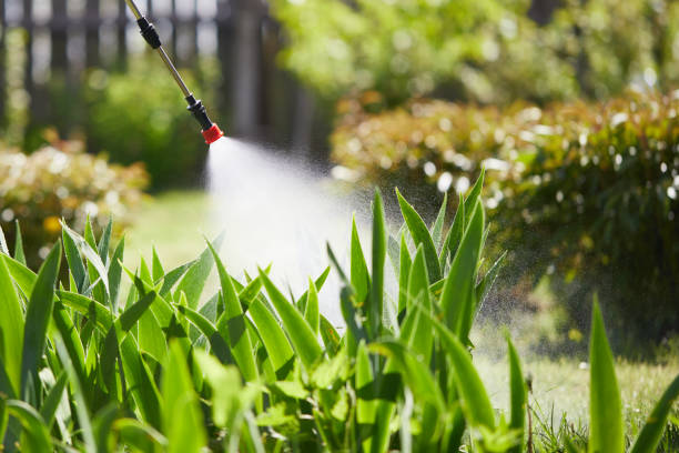 24/7 Emergency Ant Control experts in Marshall, AR
