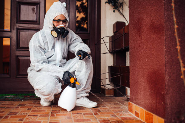 Reliable Ant Control contractor in Marshall, AR by Show Me Pest Control